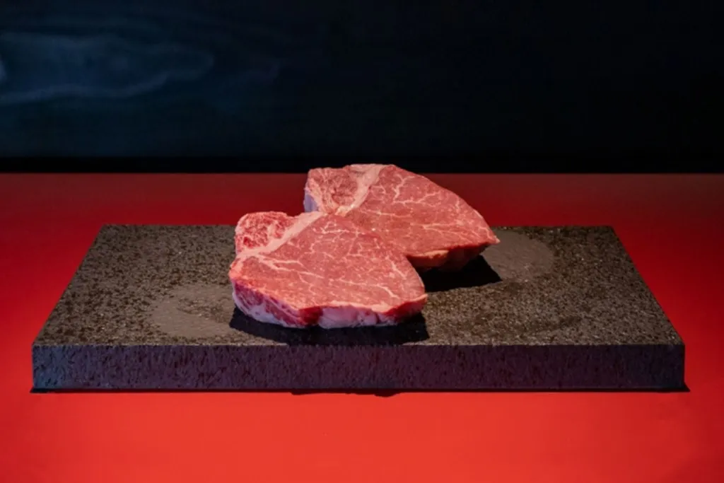 匠シャトーブリアン